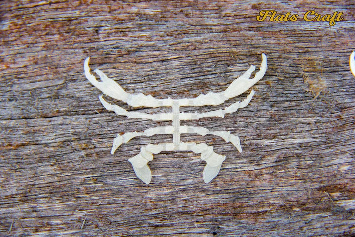 Flats Craft Mandaclawrian Crab - White - Sportinglife Turangi